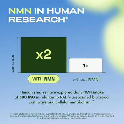 NMN 4-in-1 NAD+ Support