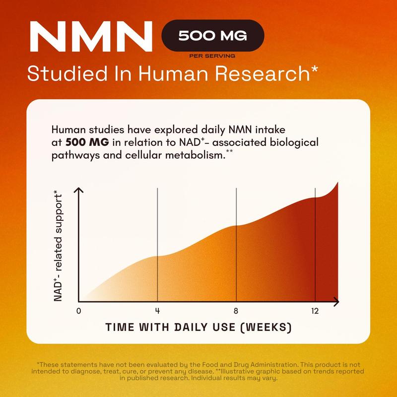 NMN 4-in-1 NAD+ Support