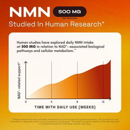 NMN 4-in-1 NAD+ Support