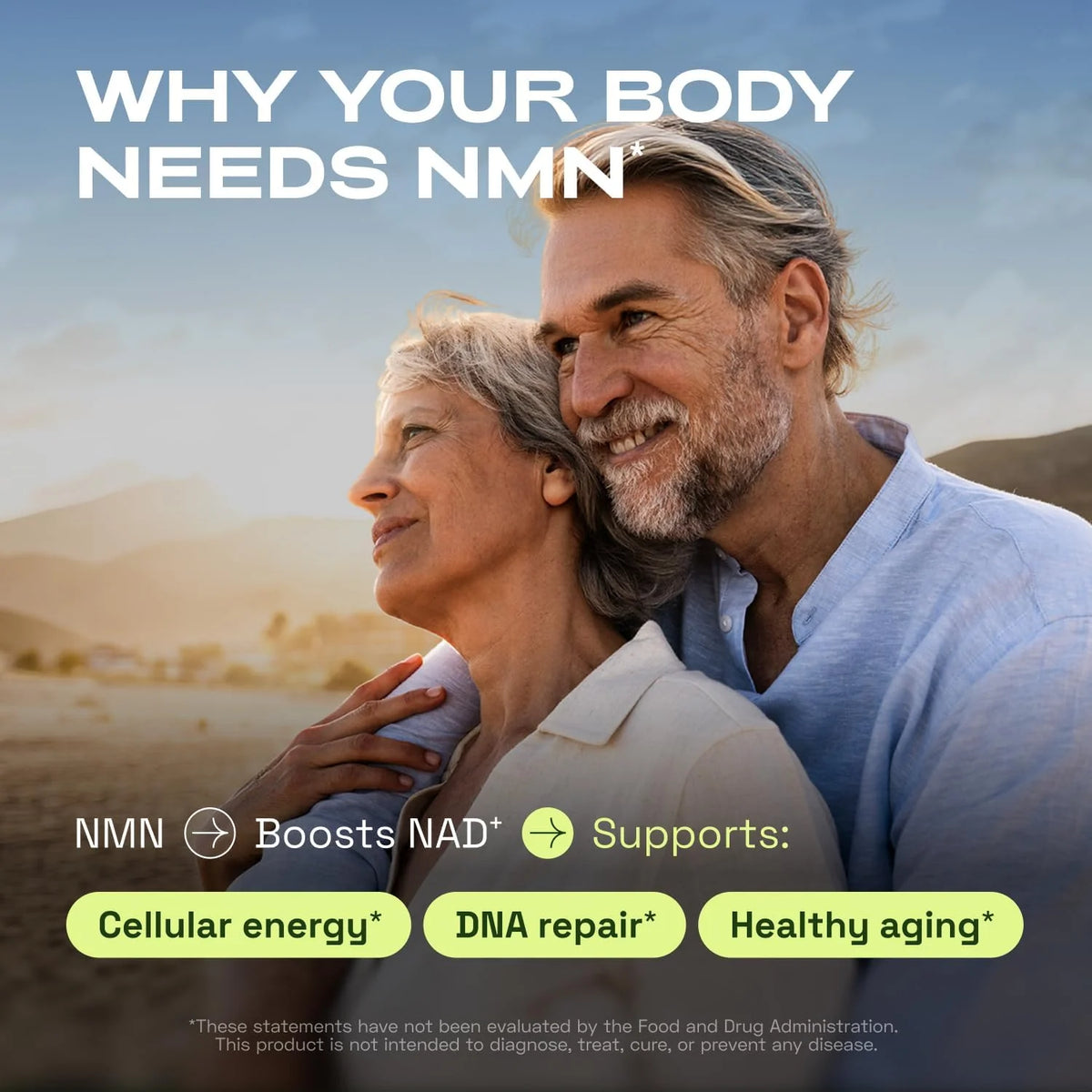 NMN 4-in-1 NAD+ Support
